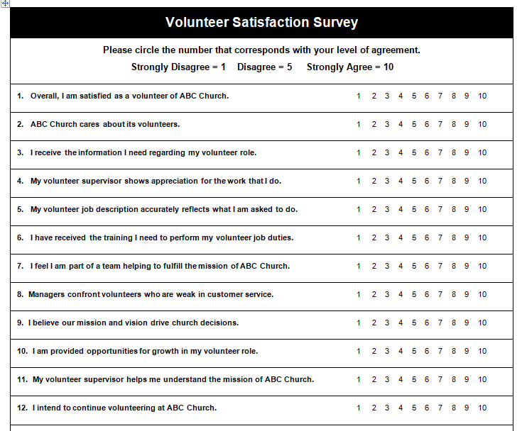 example volunteer survey