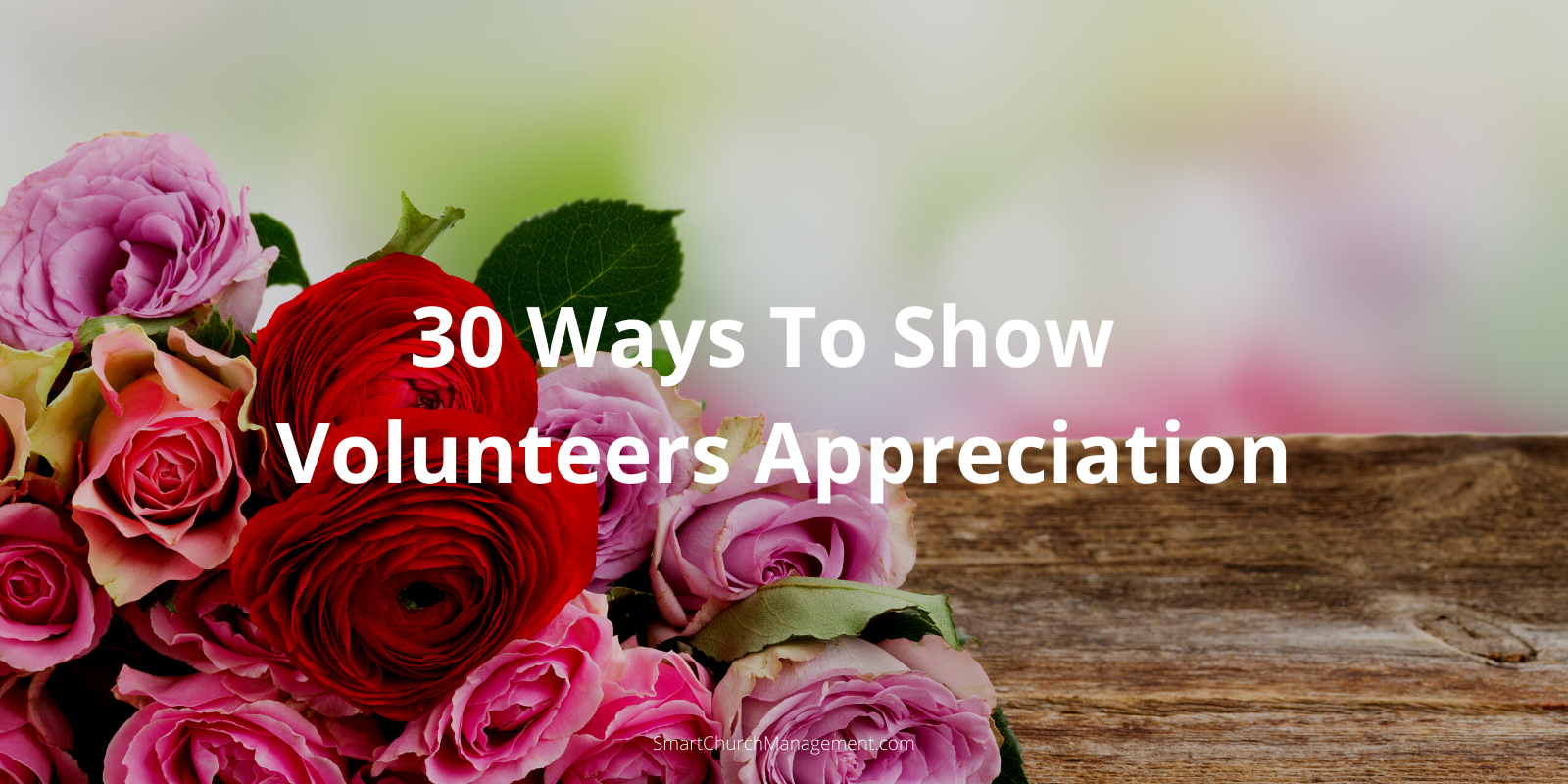 Volunteer Appreciation