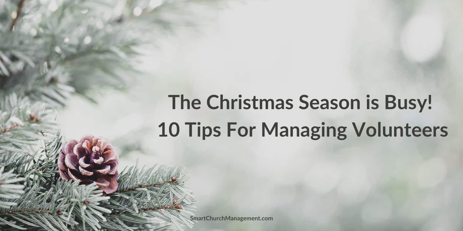 How to manage volunteers during christmas season.